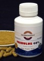 Tribulus 40% Saponins Capsules